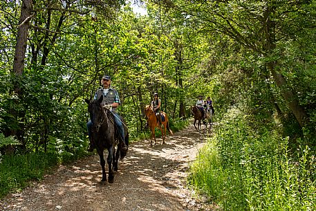 Horse riding Alta Langa